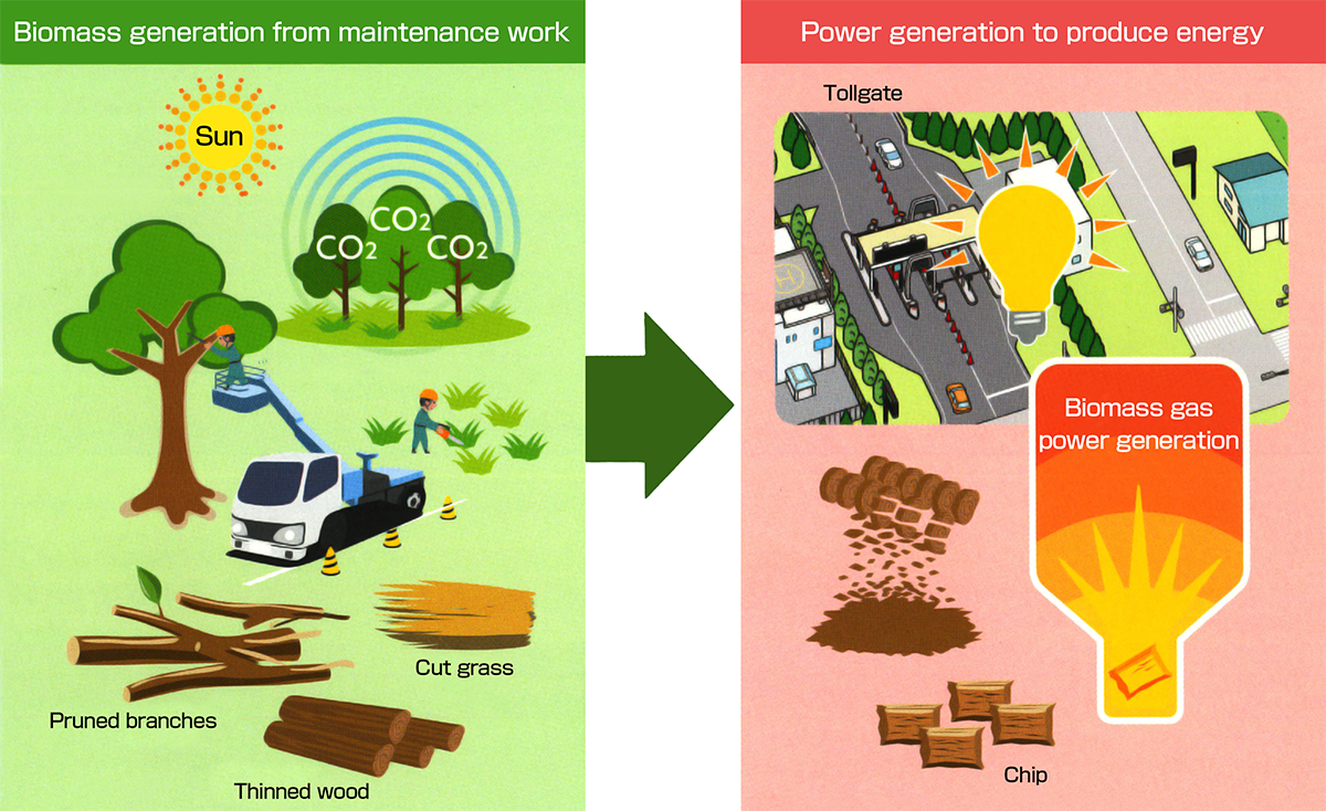 What Is Biomass Gas Power Generation?
